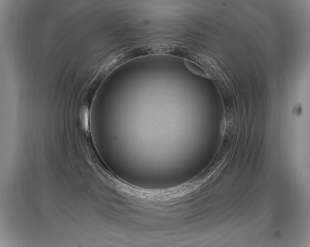 X0000097830046200803141155