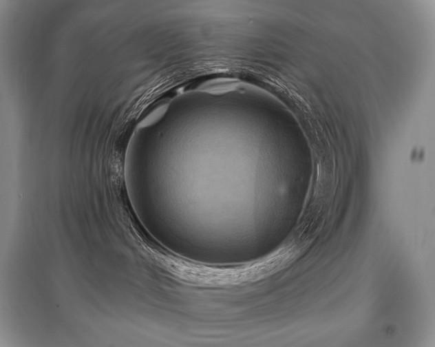 X0000097830048200803141155