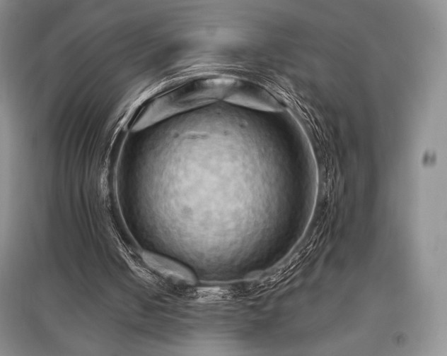 X0000097830050200803141154