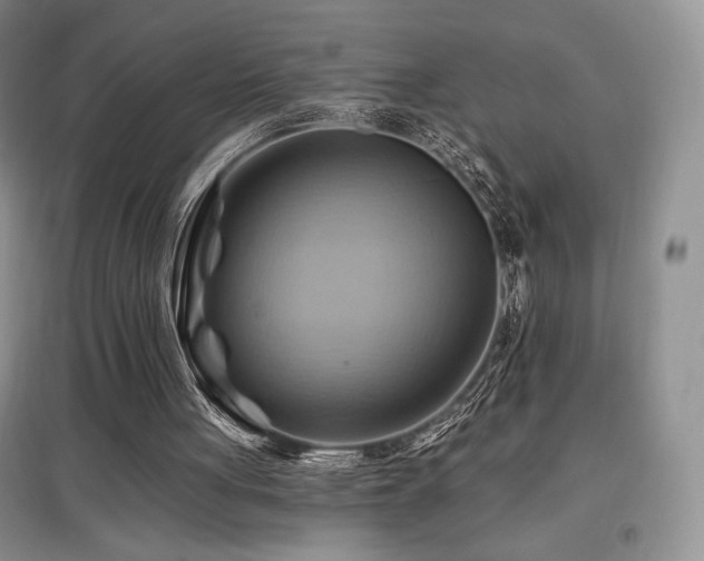 X0000097830051200803141154