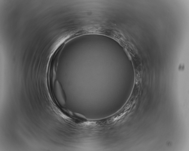 X0000097830052200803141154