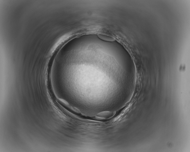 X0000097830054200803141154