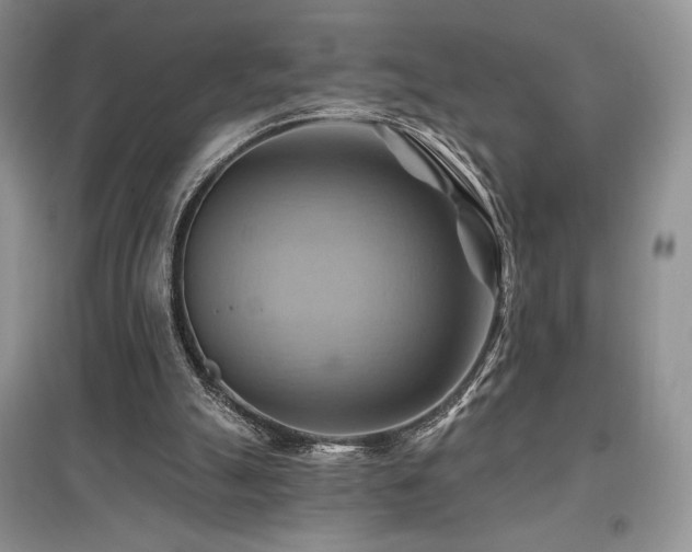 X0000097830055200803141154