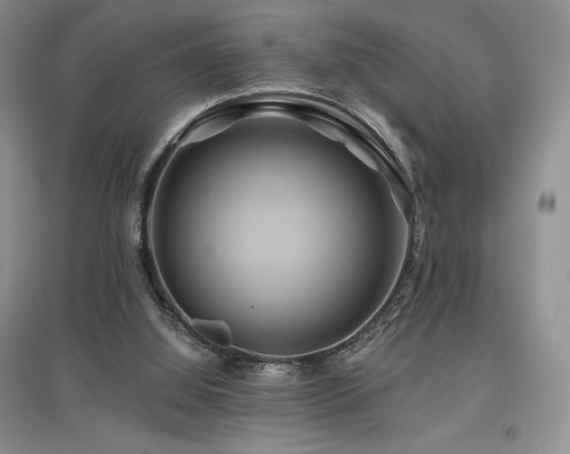 X0000097830060200803141154