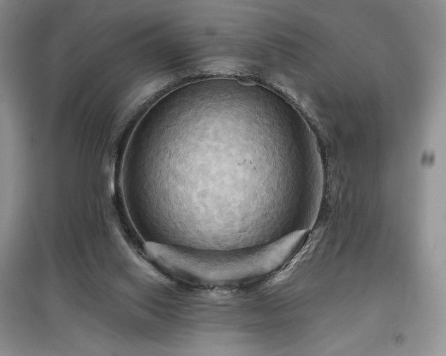 X0000097830062200803141154