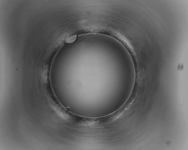 X0000097830065200803141155