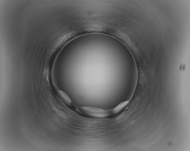 X0000097830068200803141155