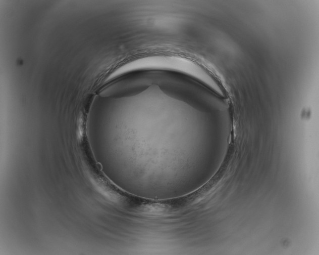 X0000097830069200803141155