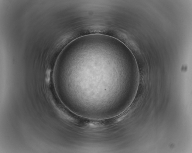 X0000097830070200803141155