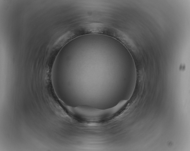 X0000097830073200803141155