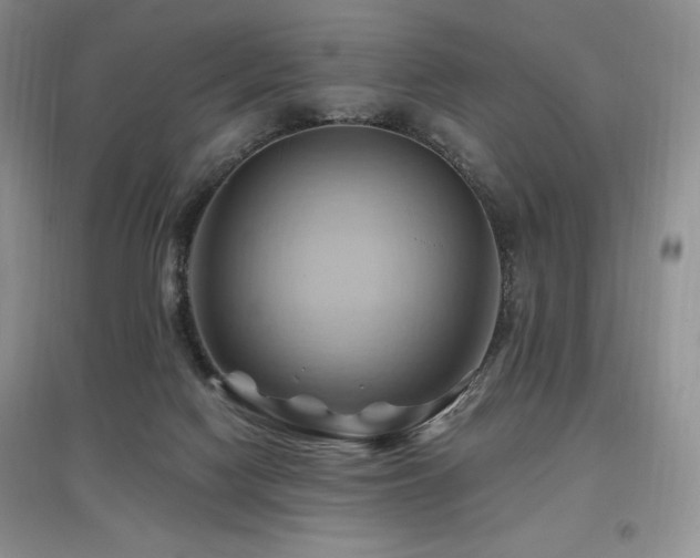 X0000097830074200803141155
