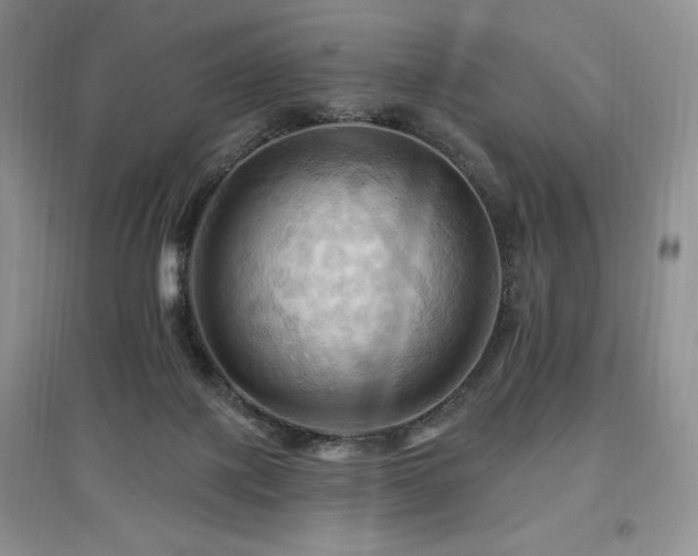 X0000097830075200803141155