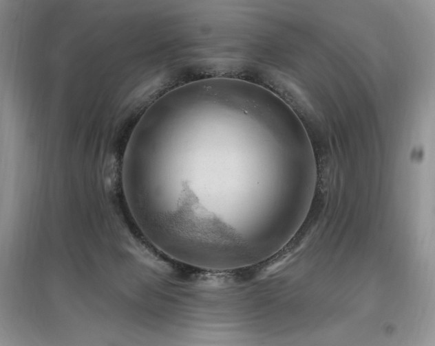 X0000097830077200803141155