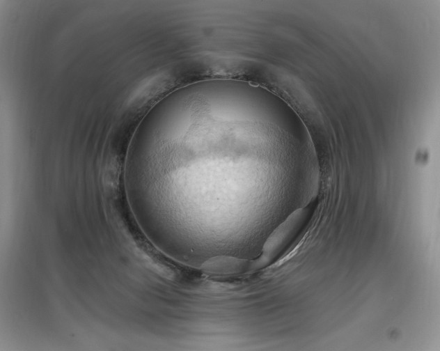 X0000097830078200803141155