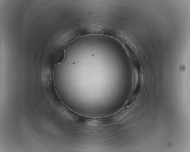 X0000097830079200803141155