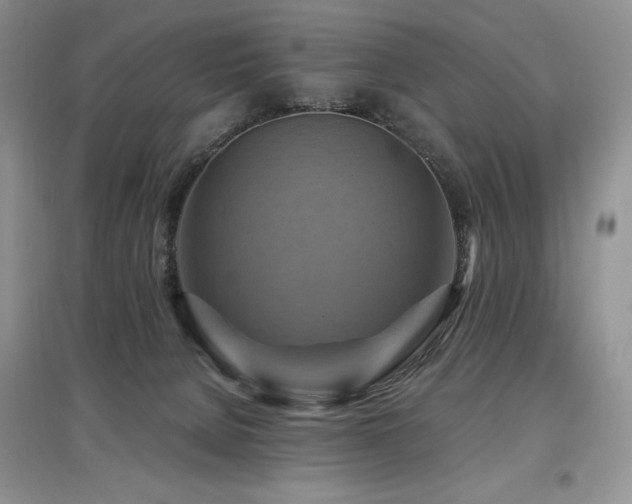 X0000097830080200803141155