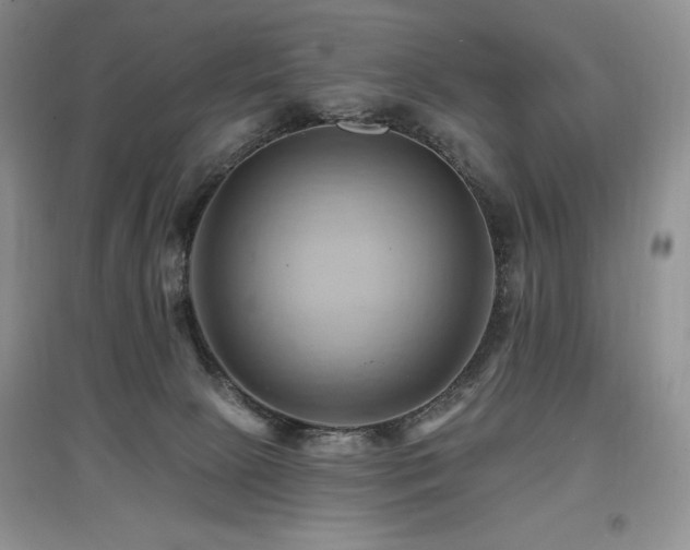 X0000097830081200803141155