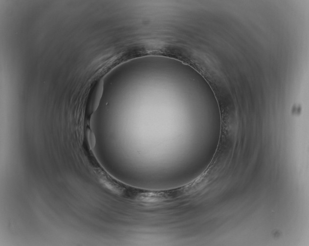 X0000097830082200803141155