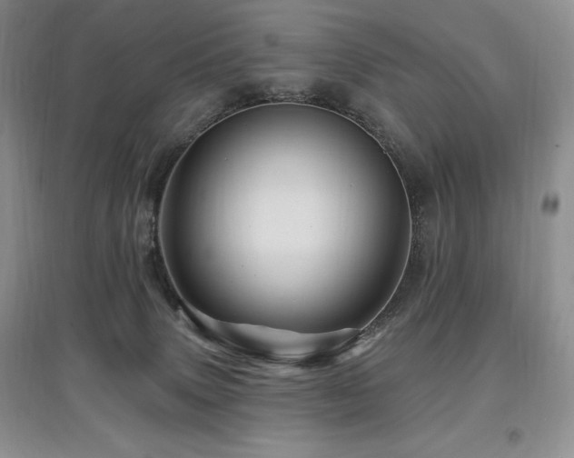 X0000097830083200803141155