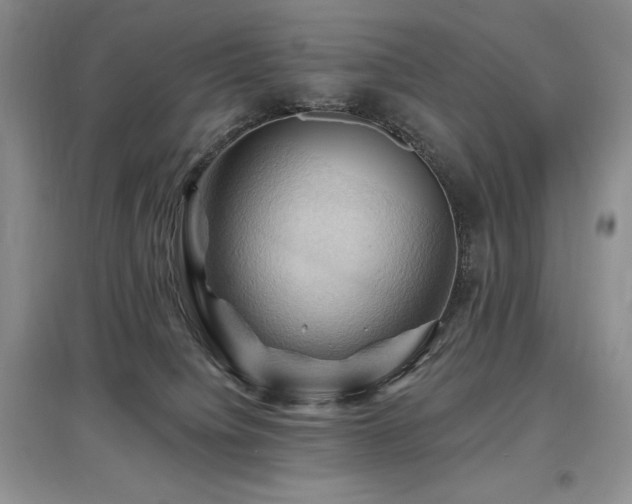 X0000097830084200803141155