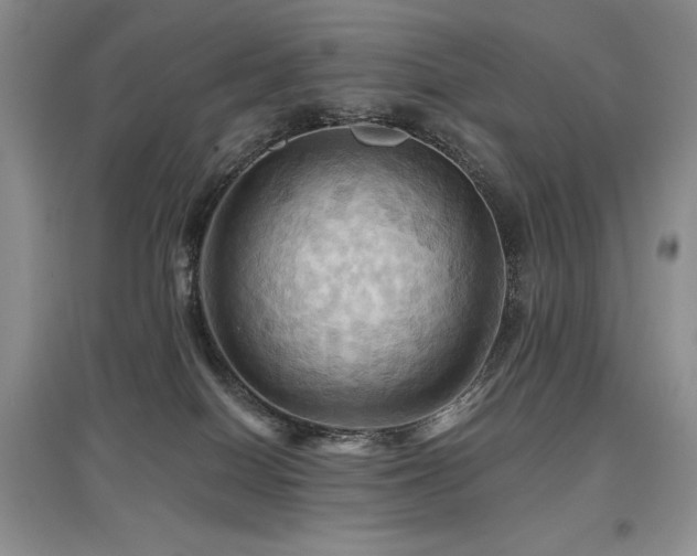 X0000097830086200803141155
