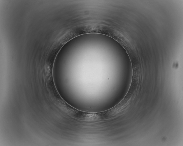 X0000097830087200803141155