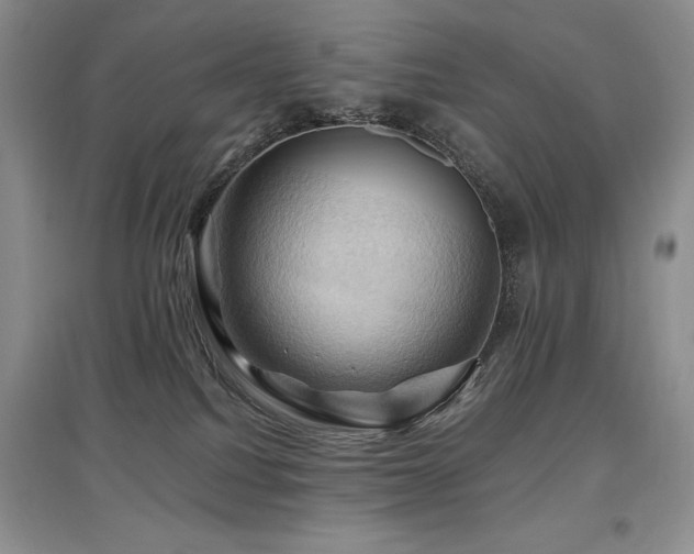 X0000097830088200803141155