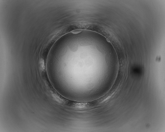 X0000097830089200803141155