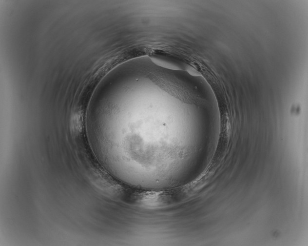 X0000097830090200803141155