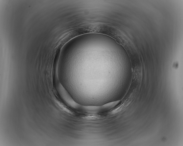 X0000097830092200803141155