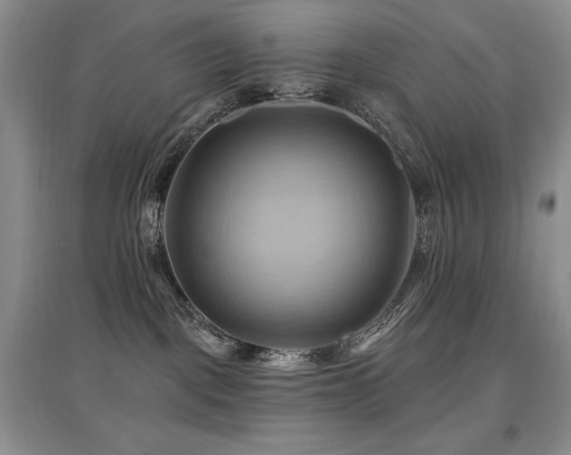 X0000097830093200803141155