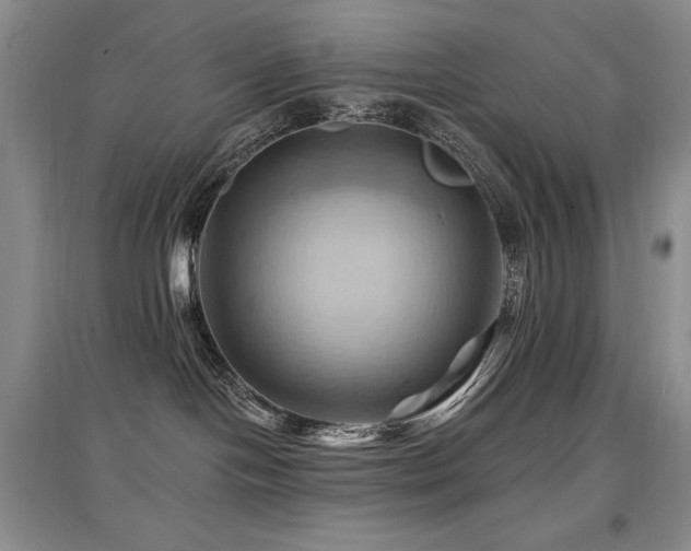 X0000097830094200803141155