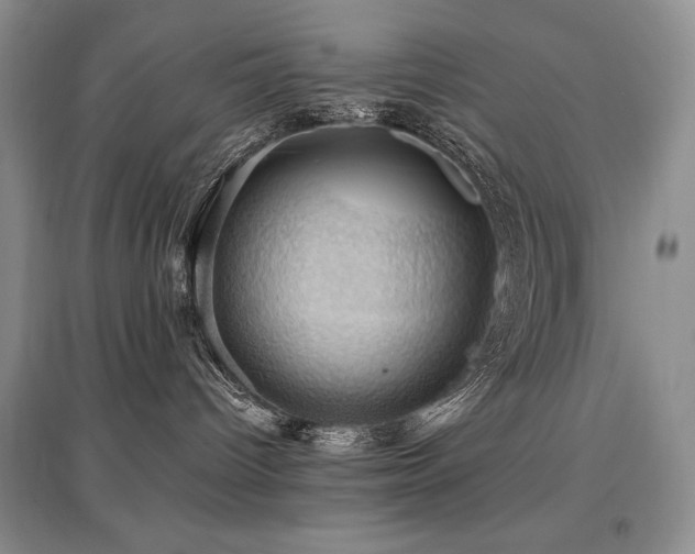 X0000097830096200803141155