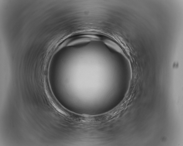 X0000097830097200803141154