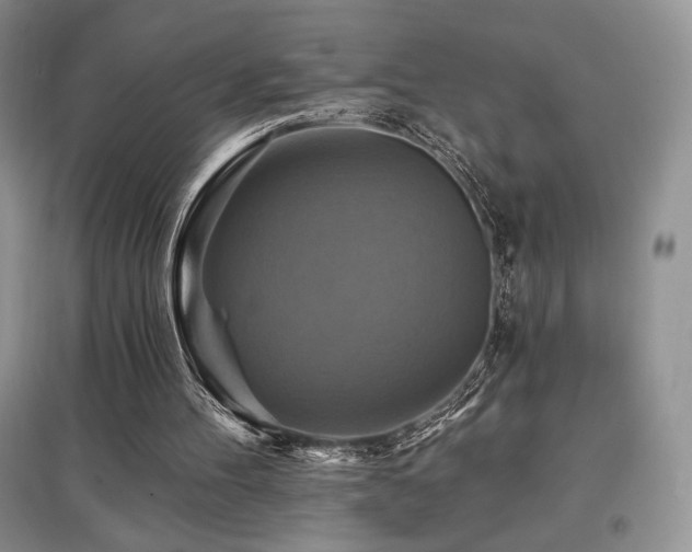 X0000097830100200803141154