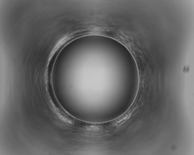 X0000097830102200803141154