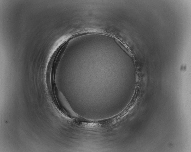 X0000097830104200803141154