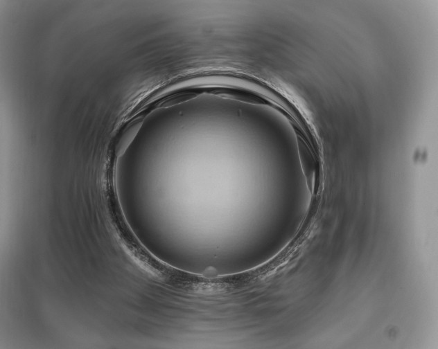 X0000097830105200803141154