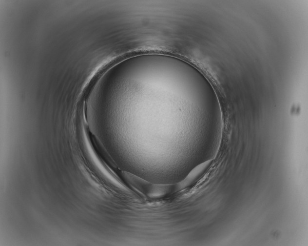 X0000097830108200803141154