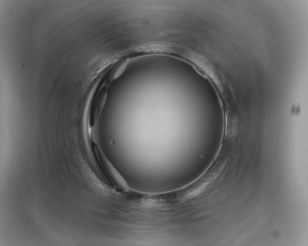 X0000097830109200803141154