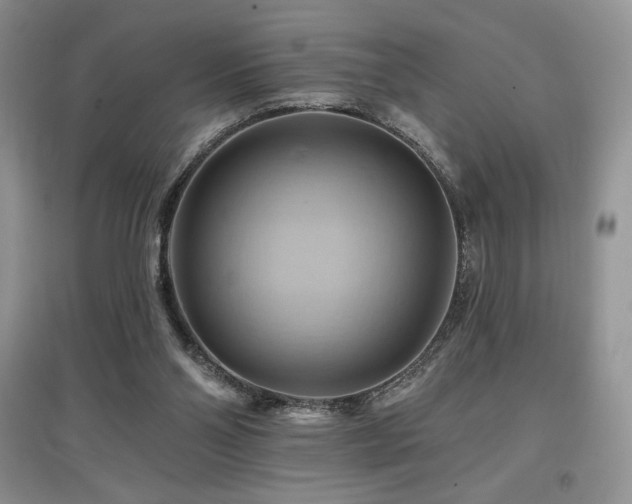 X0000097830110200803141154
