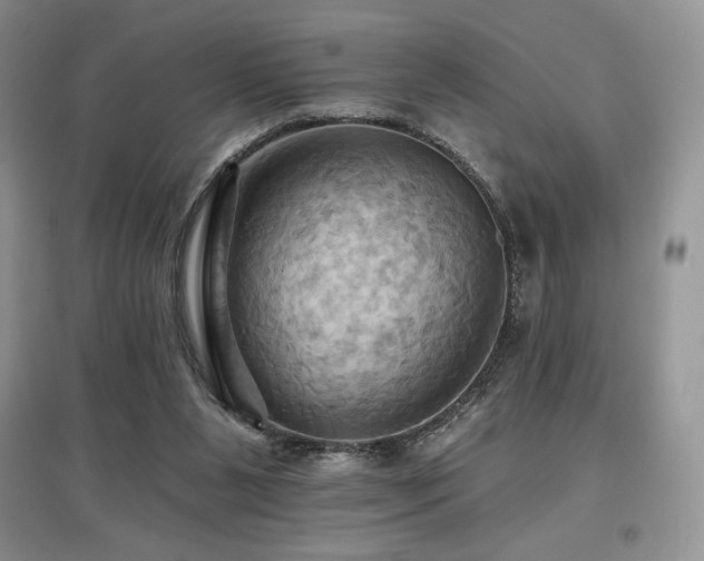 X0000097830111200803141154