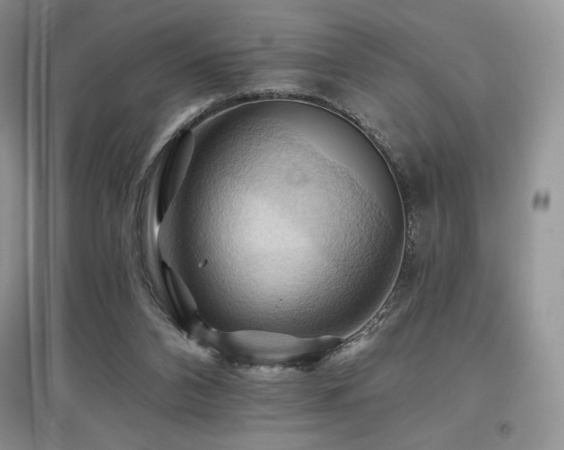 X0000097830112200803141154