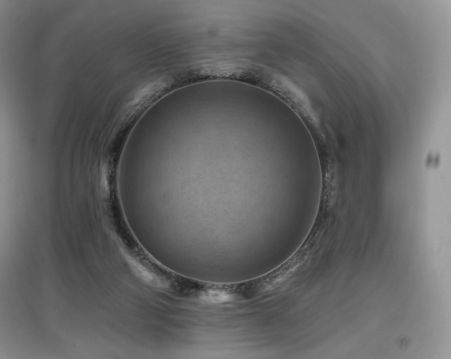 X0000097830114200803141154