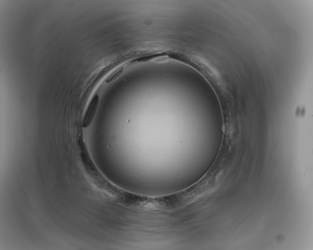 X0000097830115200803141154