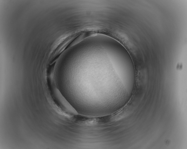X0000097830116200803141154