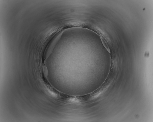 X0000097830117200803141154