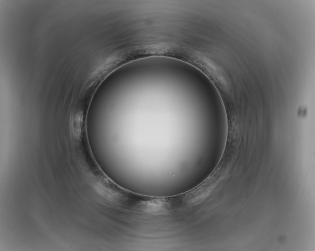 X0000097830118200803141154