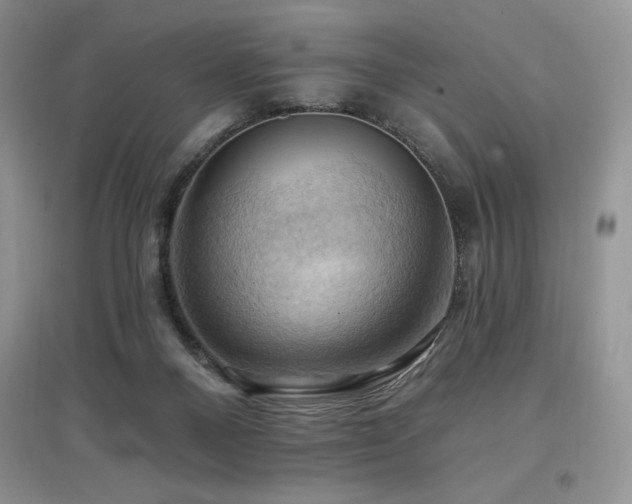 X0000097830120200803141154