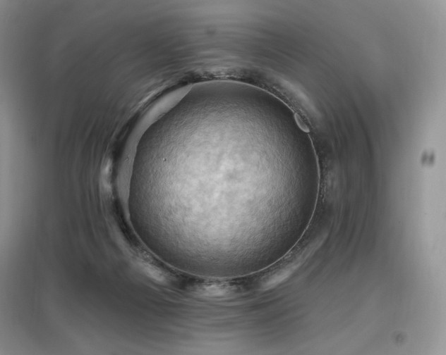 X0000097830121200803141154